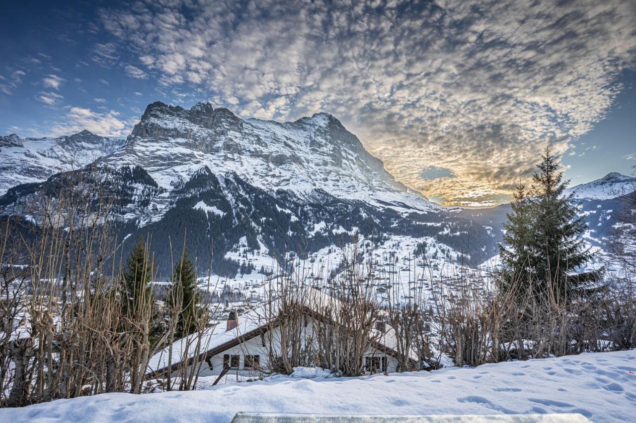 Chalet Weid - Aare Jungfrau Ag Гриндельвальд Экстерьер фото