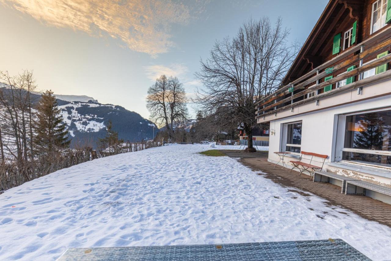 Chalet Weid - Aare Jungfrau Ag Гриндельвальд Экстерьер фото