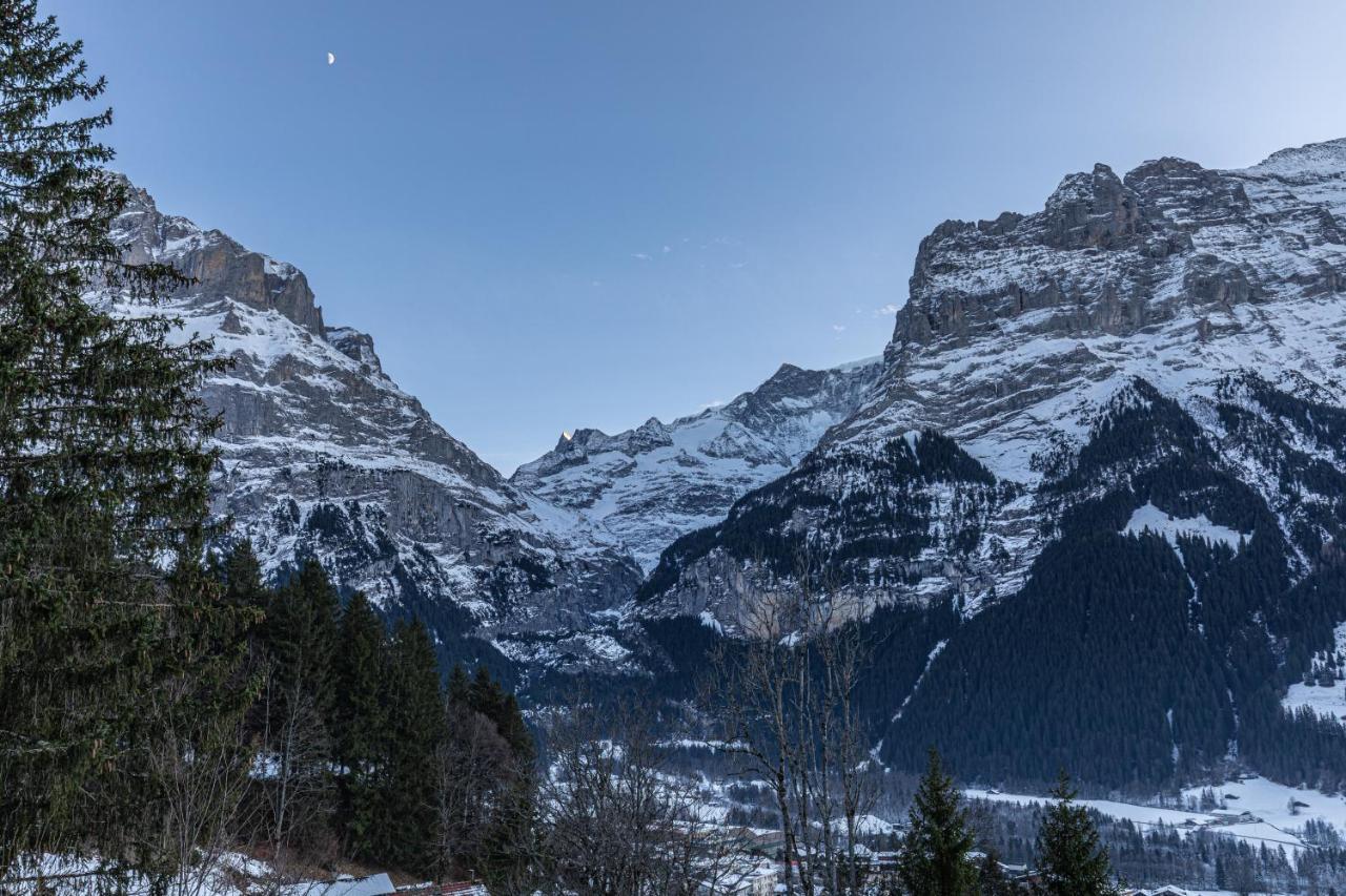 Chalet Weid - Aare Jungfrau Ag Гриндельвальд Экстерьер фото