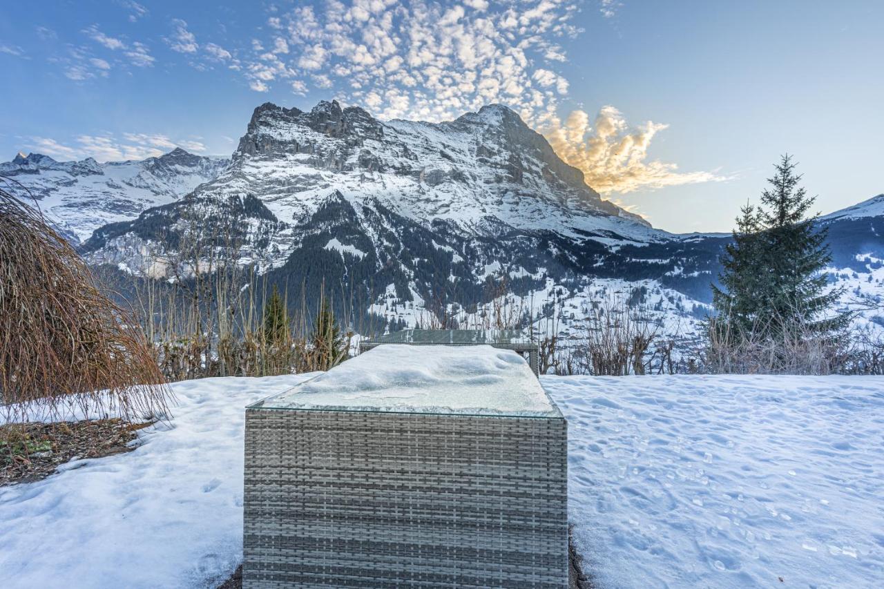 Chalet Weid - Aare Jungfrau Ag Гриндельвальд Экстерьер фото