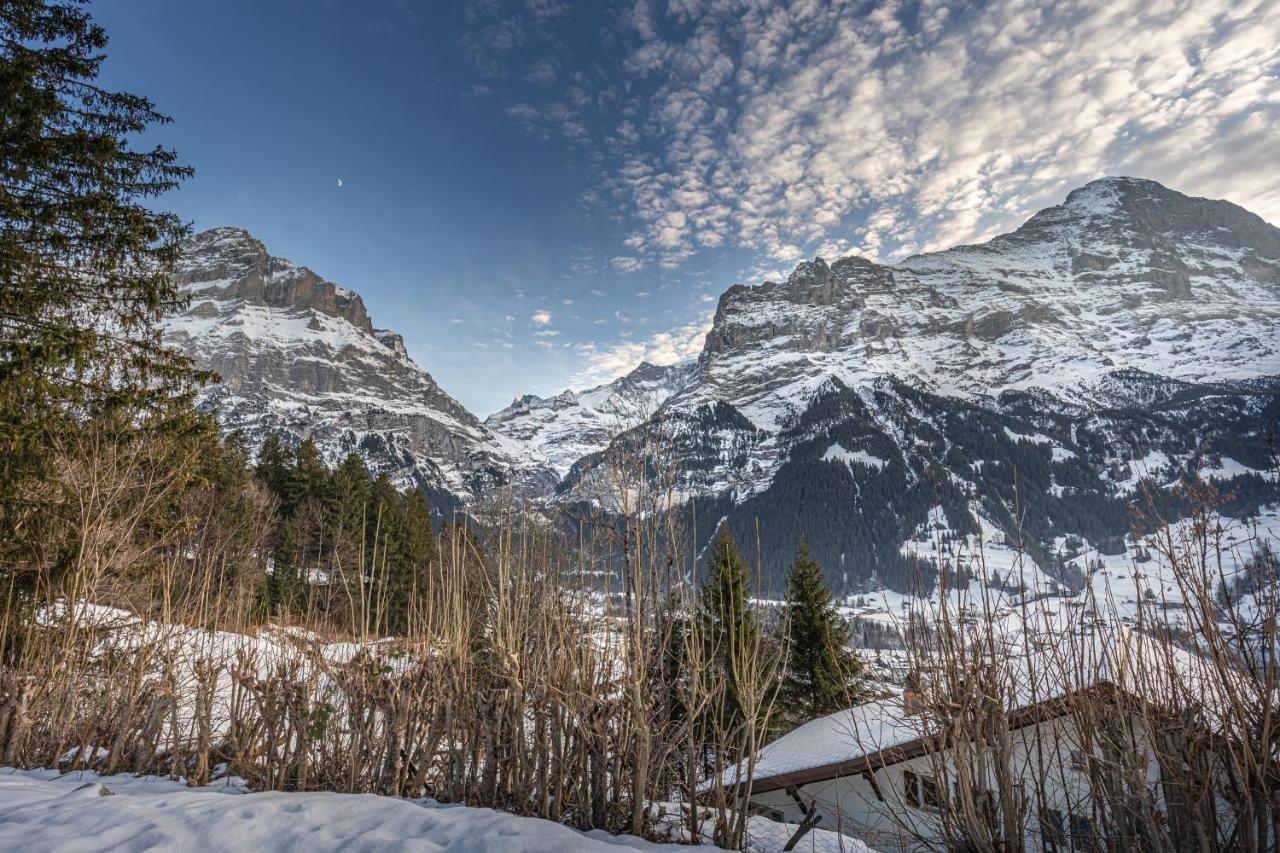 Chalet Weid - Aare Jungfrau Ag Гриндельвальд Экстерьер фото